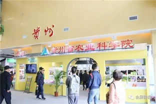 第二屆粵桂黔名優農產品食品展示博覽會盛大開幕，推動區域農業高質量發展